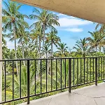 Palms 417