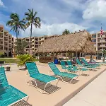Palms 417