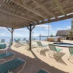 Palms 417