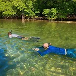 Snorkel In Islamorada\'S Clear Blue Waters