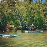Snorkel In Islamorada\'S Clear Blue Waters