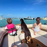 Straight To The Islamorada Sandbar Charters