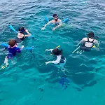 Snorkel In Islamorada\'S Clear Blue Waters