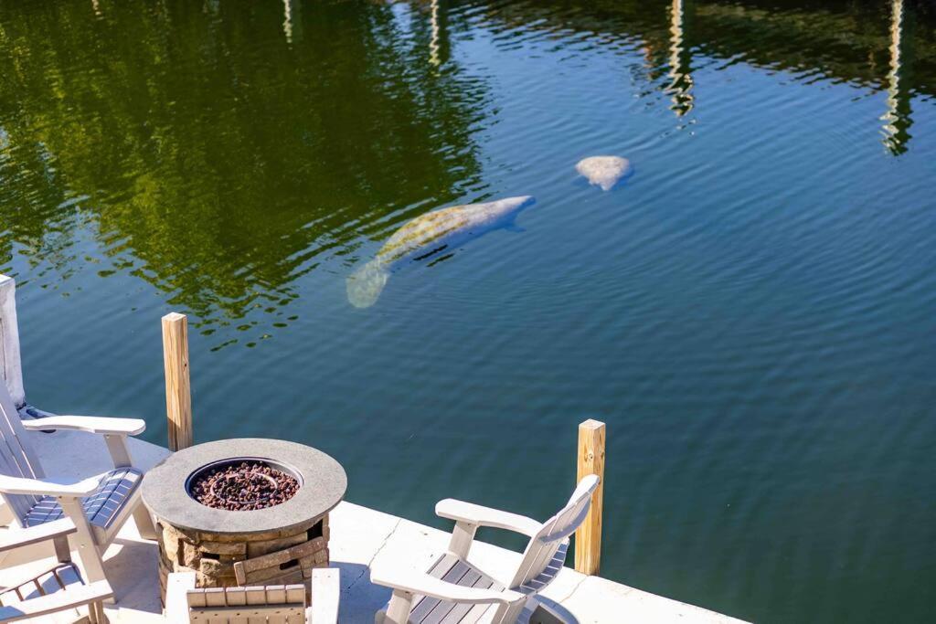 Unity & Autonomy 2 Sides A Duplex & 70' Dock *