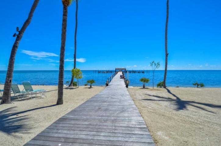 Beacon Reef 222 Islamorada
