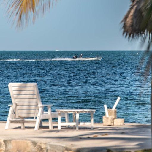 Little Bay Compound Islamorada