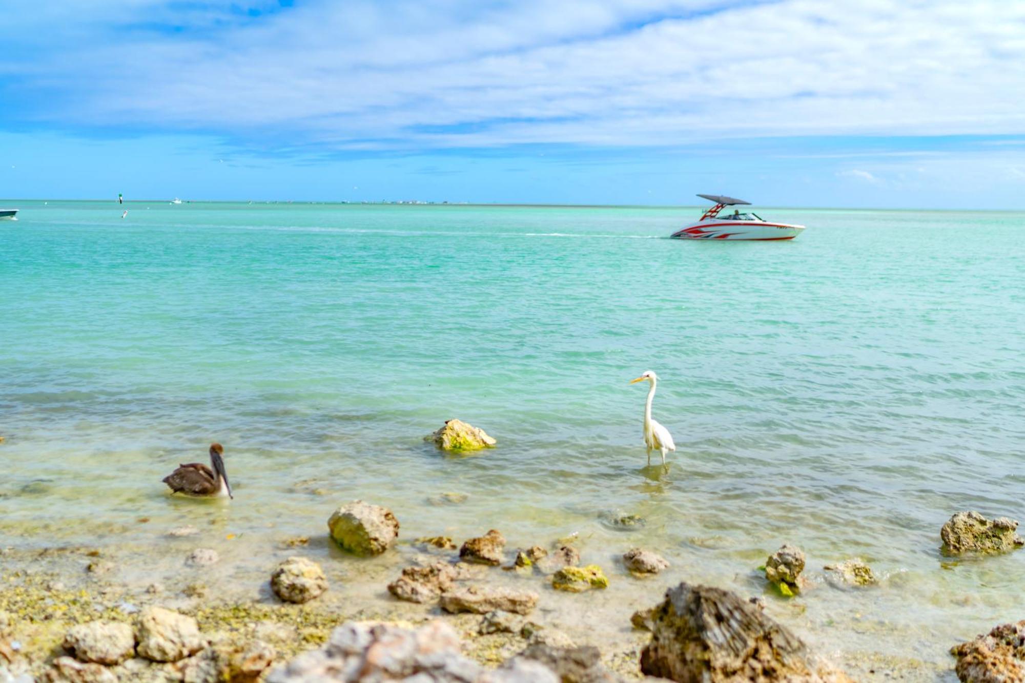 Paradise Palms * Islamorada