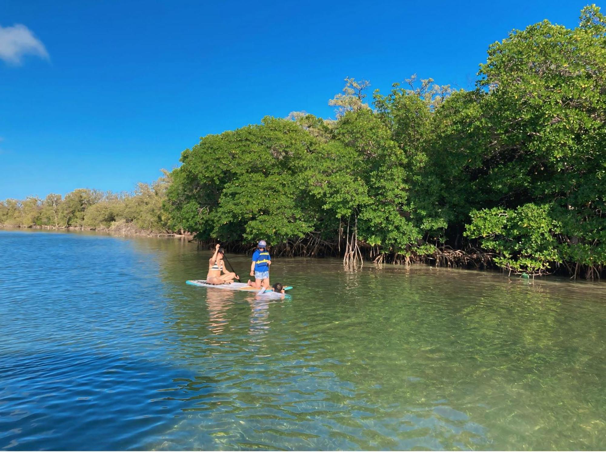 Botel Snorkel In Islamorada's Clear Blue Waters *