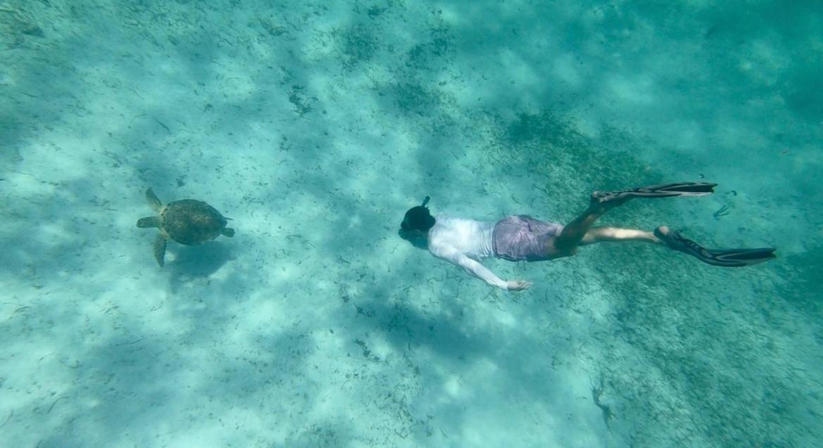 Snorkel In Islamorada's Clear Blue Waters Botel Islamorada