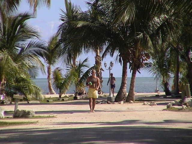Coconut Cove & Marina Islamorada